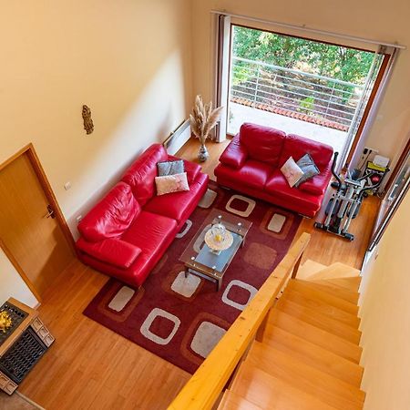 Apartments Maris Novigrad  Dış mekan fotoğraf