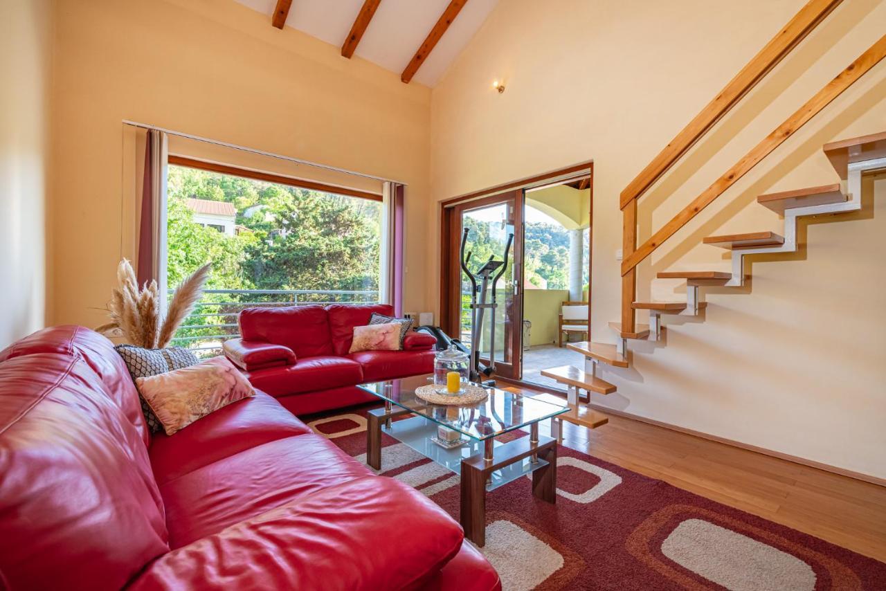 Apartments Maris Novigrad  Dış mekan fotoğraf