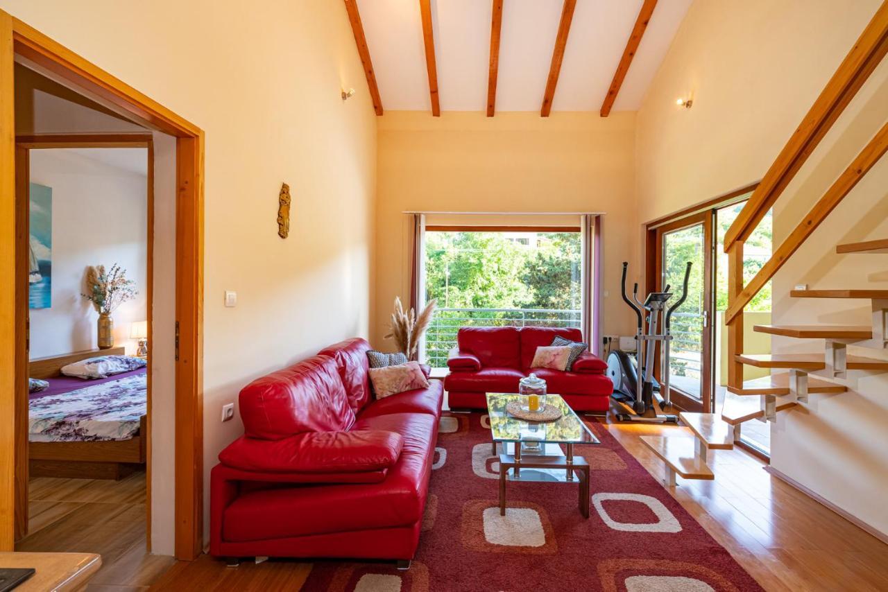 Apartments Maris Novigrad  Dış mekan fotoğraf