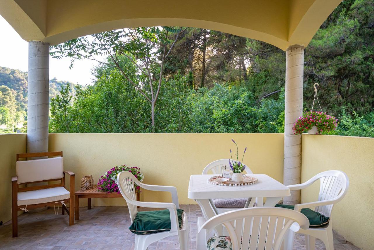 Apartments Maris Novigrad  Dış mekan fotoğraf