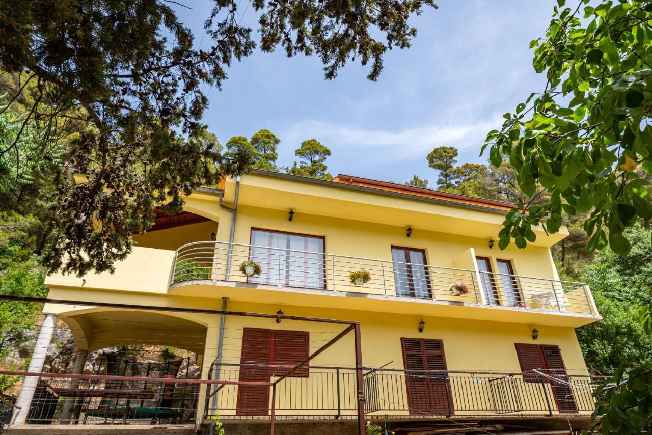 Apartments Maris Novigrad  Dış mekan fotoğraf