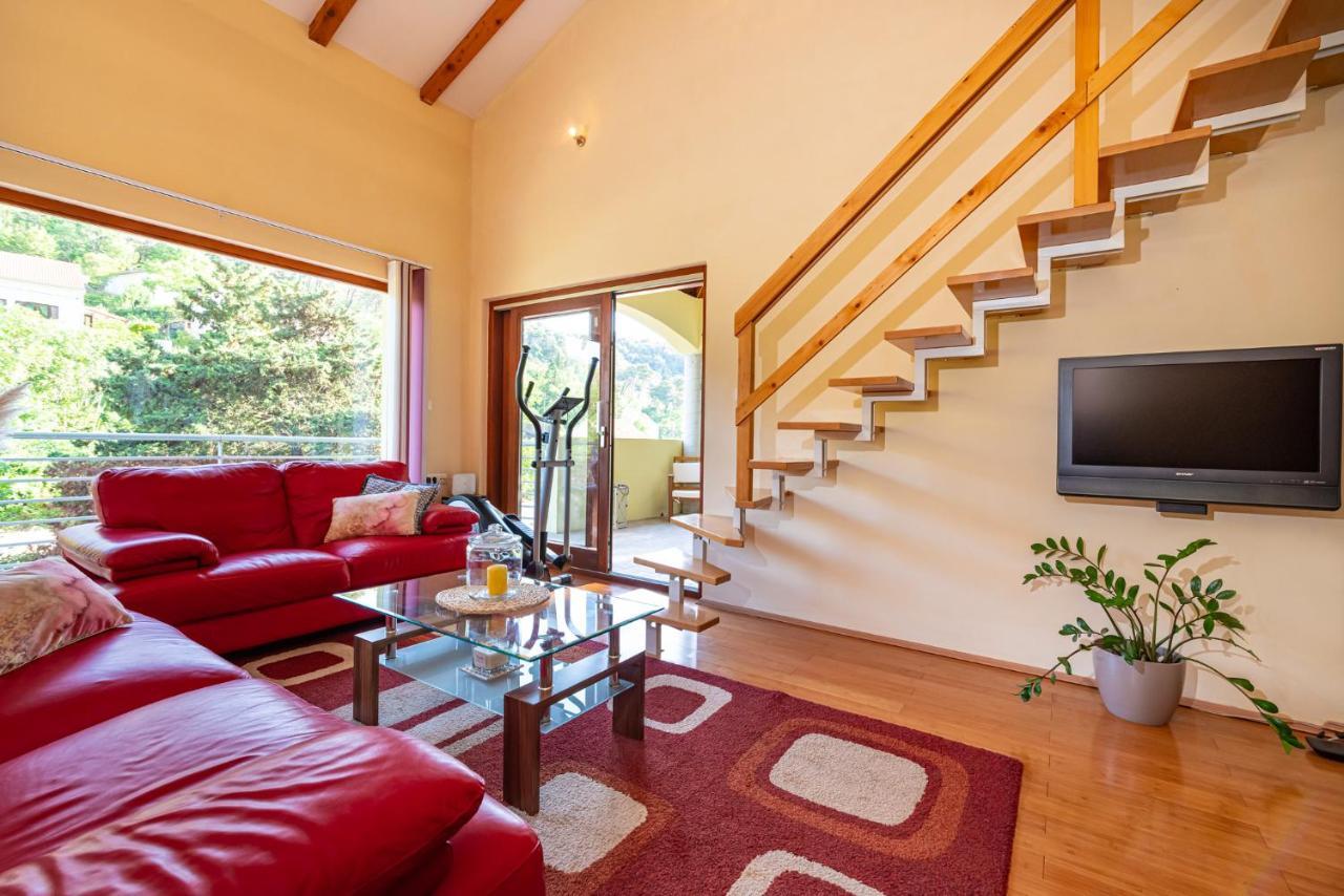 Apartments Maris Novigrad  Dış mekan fotoğraf