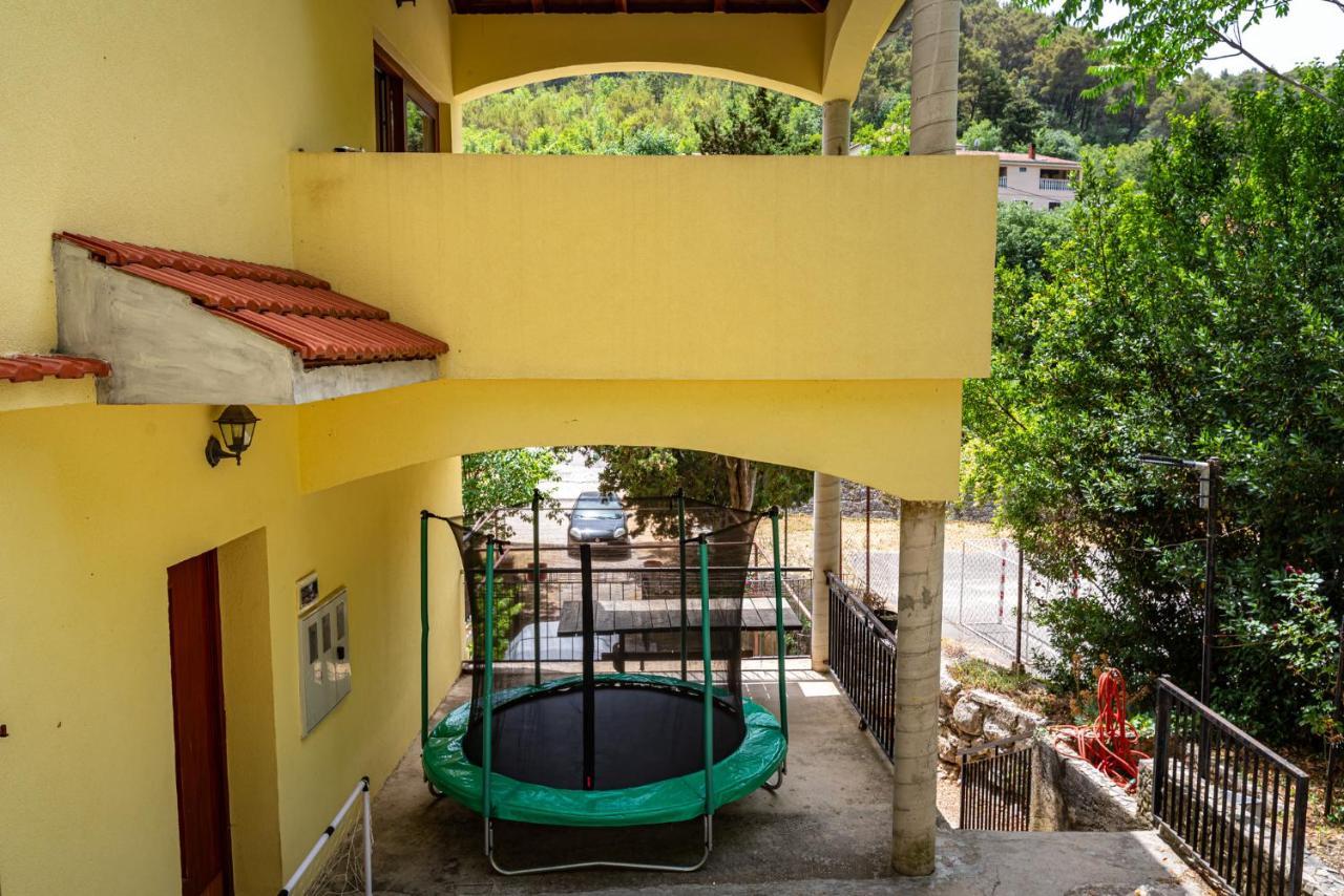 Apartments Maris Novigrad  Dış mekan fotoğraf
